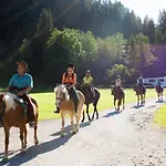 Haflingerhof 3* Oberau