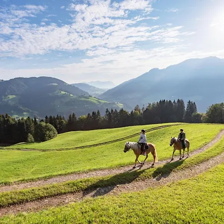 Haflingerhof 3* Oberau