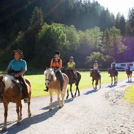 Haflingerhof 3* Oberau