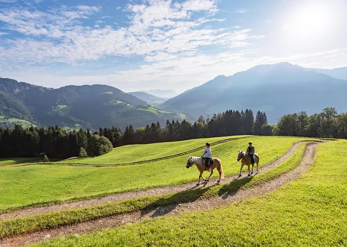 Haflingerhof 3* Oberau