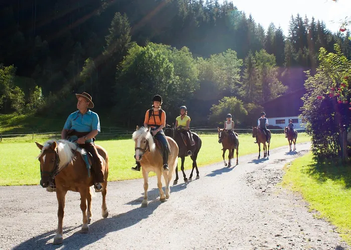 Haflingerhof 3* Oberau
