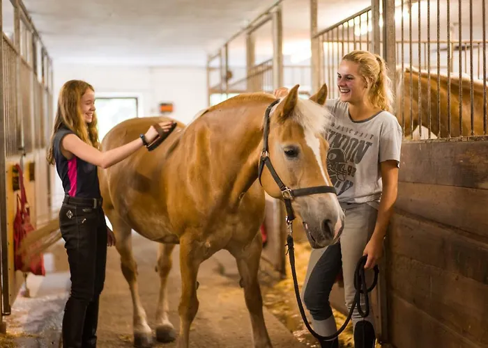 哈弗令阿霍夫酒店 酒店 3*