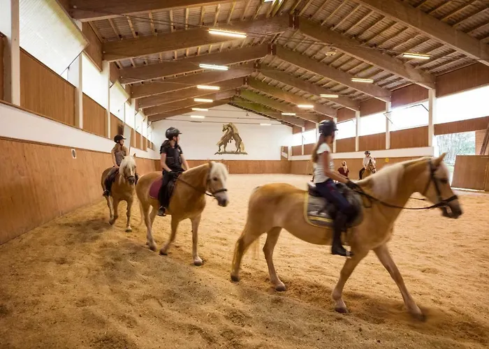 Hotel Haflingerhof 3*