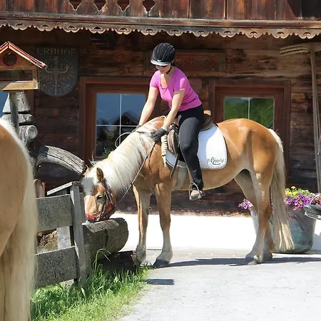 Haflingerhof Отель 3*
